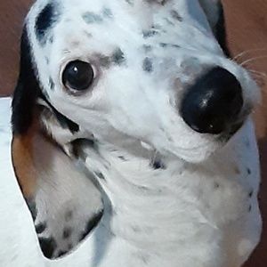 Meet your Posher, Kristi